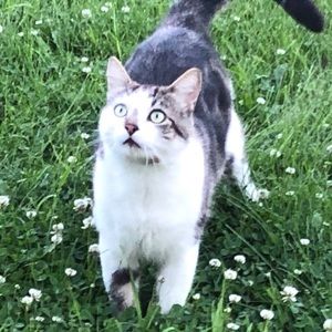 Meet your Posher, Ricky